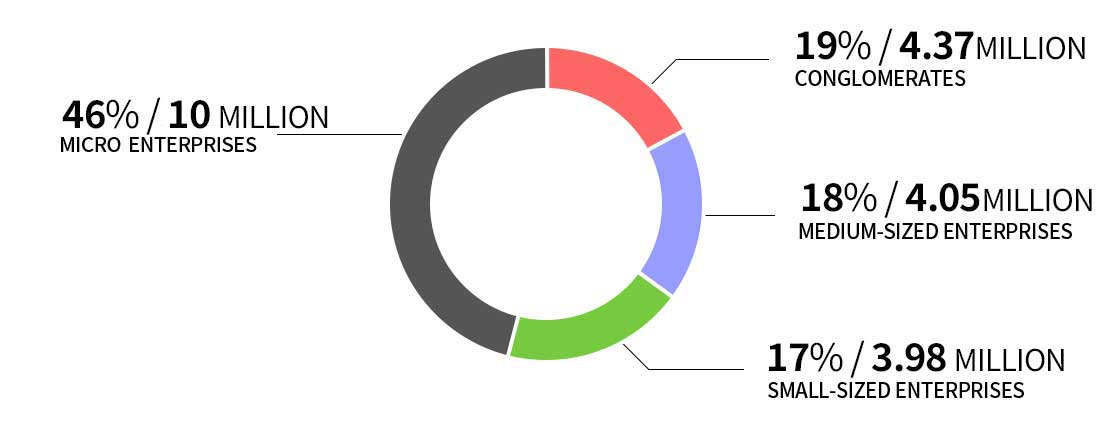 Small-sized Enterprises : 21% / 4.28 million, Micro-Enterprises : 43% / 8.97 million, LE & HPE : 17% / 3.49 million, Medium-sized Enterprises : 19% / 3.86 million