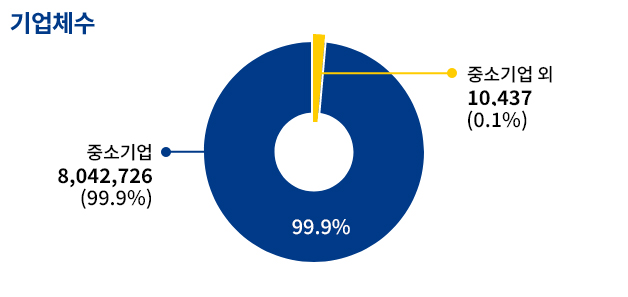 기업체수 중소기업 8042726(99.9%) 중소기업외 10437(0.1%)
