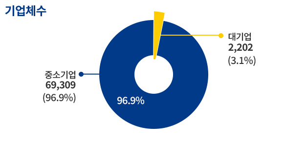 중소제조업기준 기업체수 중소기업  69309 (96.9%) 대기업  2202(3.1%)